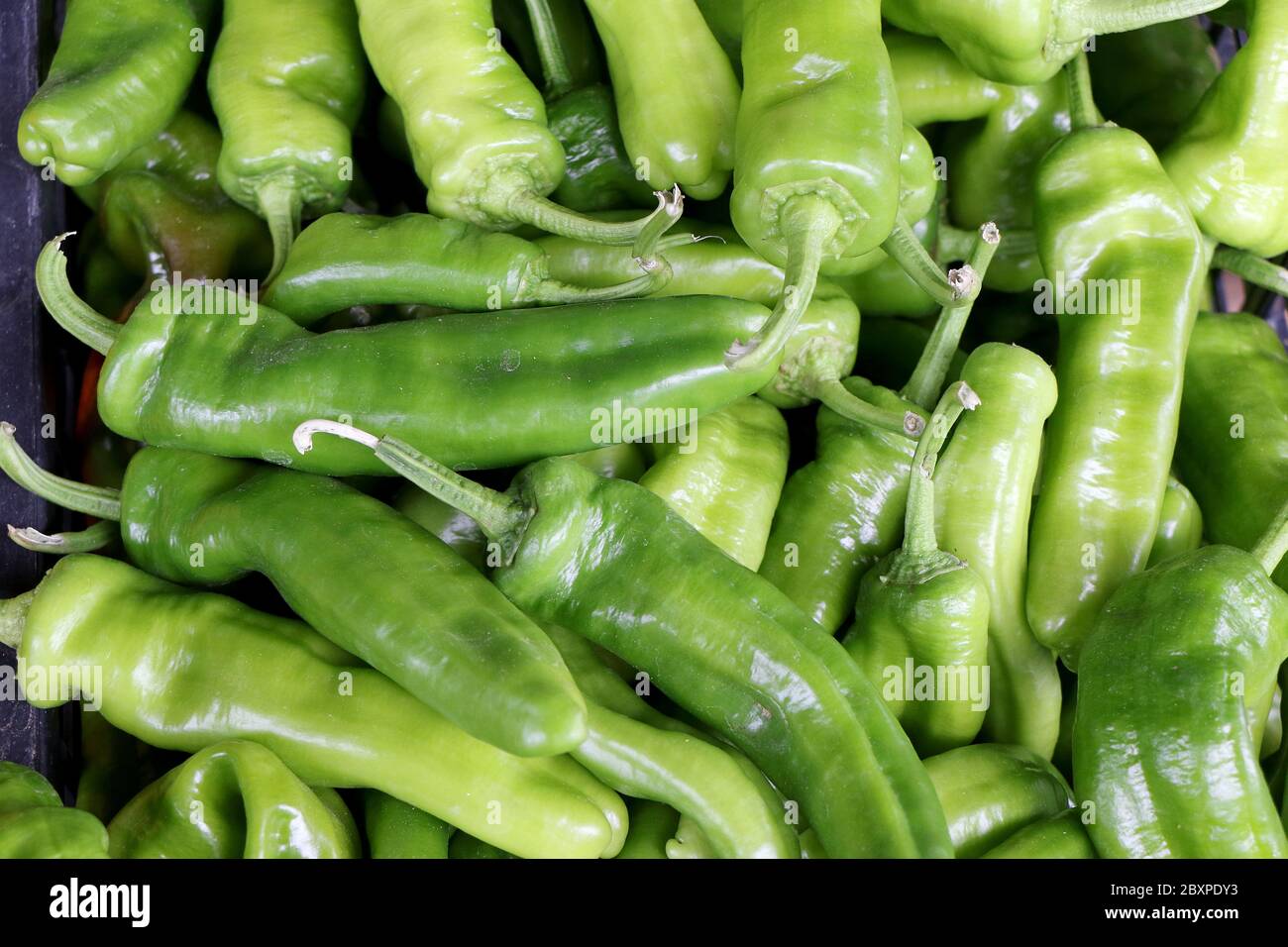 Closeup Of Sweet Italian Green Pepper Friggitello On Sale In A Vegetable Market Stock Photo Alamy
