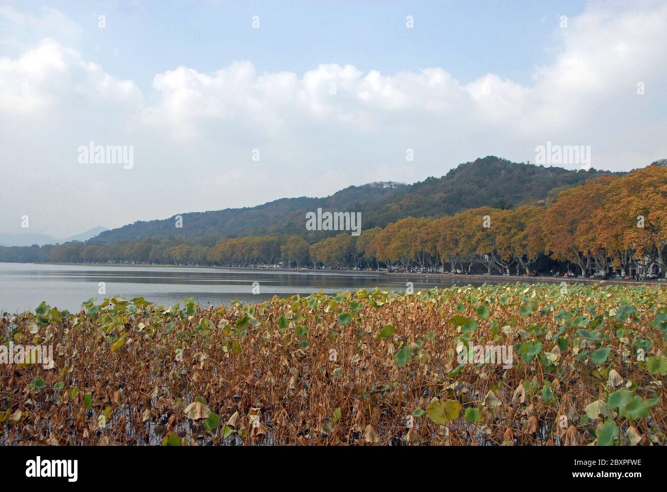 West Lake (Xi Hu) in Hangzhou, Zhejiang Province, China. The northern shore of West Lake seen from Baidi Causeway looking across Beili Hu. Stock Photo