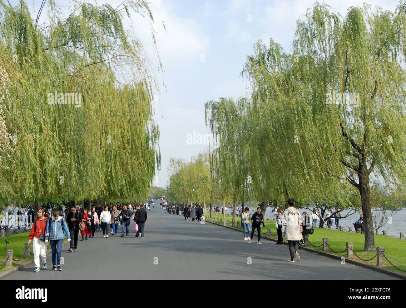 West Lake in Hangzhou, Zhejiang Province, China.  People walking on Baidi Causeway across West Lake beneath willow trees. Stock Photo