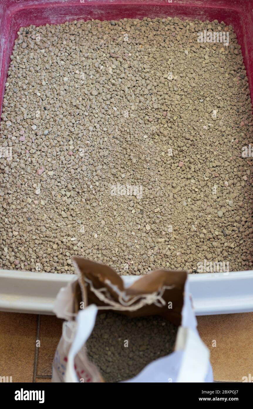 cat litter box  and bag of sand Stock Photo