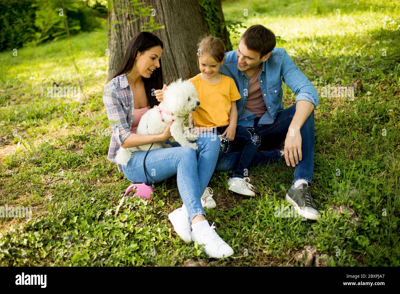 Happy young family with cute bichon dog in the park Stock Photo