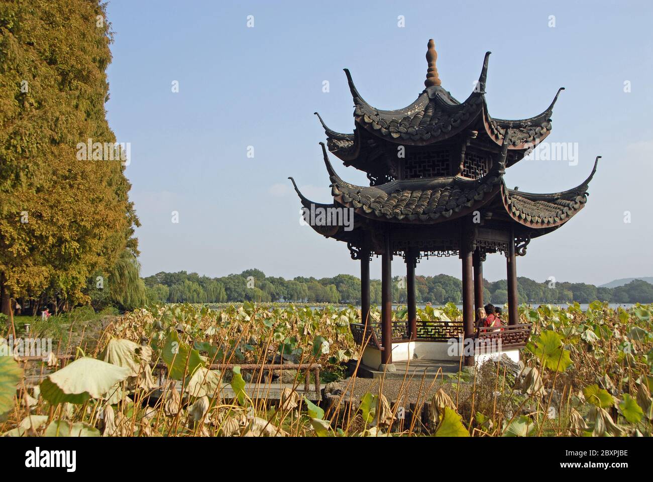 West Lake (Xi Hu) in Hangzhou, Zhejiang Province, China. A pavilion at the Zhanbilou Restaurant by West Lake, Hangzhou. Stock Photo