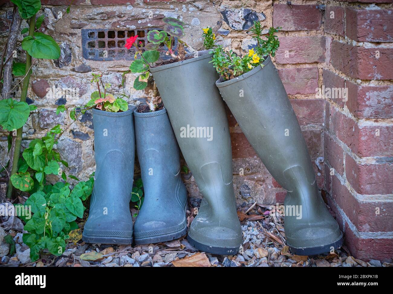 Wellington boot planters in a country garden, UK Stock Photo - Alamy