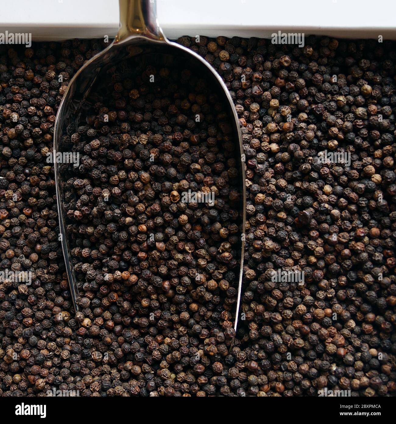 Black peppercorns in a white box with a large metal shovel. Top view. Close up Stock Photo