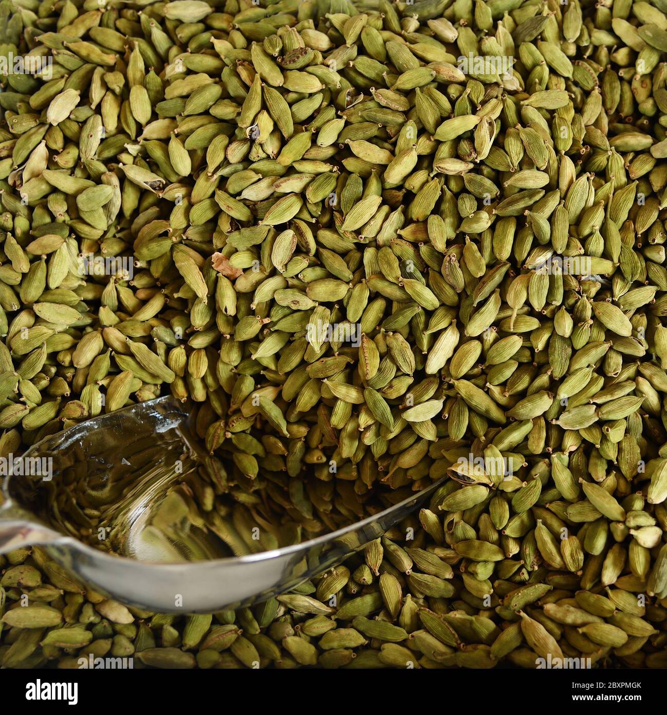 Close-up of green cardamon seeds with a large metal shovel, top view, selective focus, shallow depth of field, macro. Exotic oriental  spice. Aromatic Stock Photo