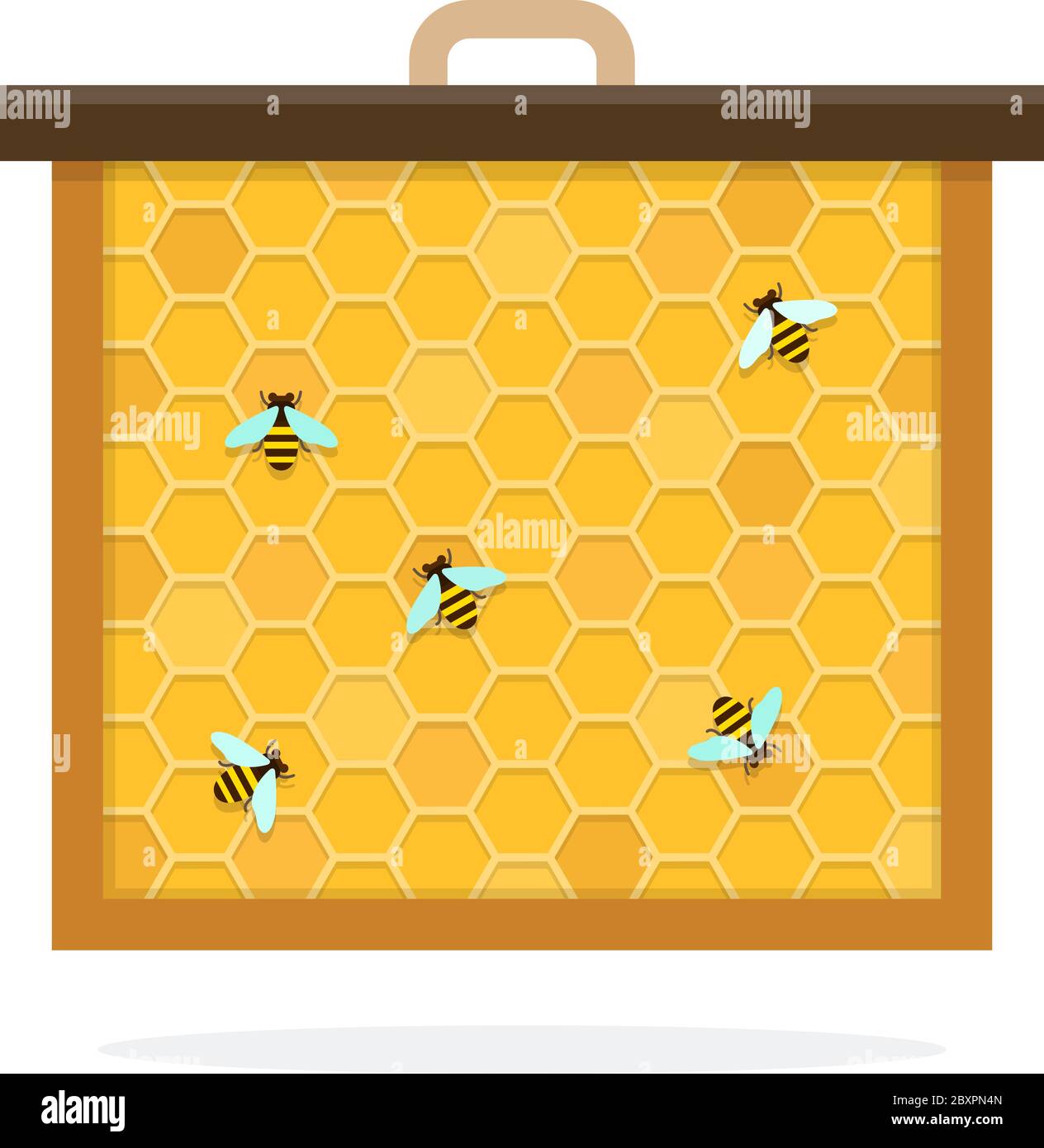 Bee honeycomb vector flat material design isolated object on white ...