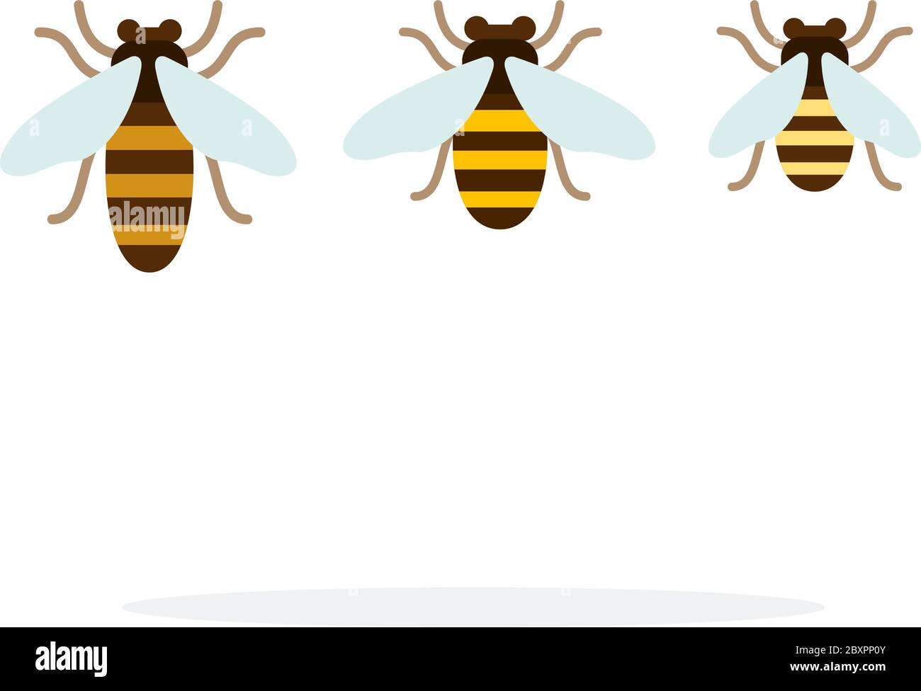 Bee different size vector flat material design isolated object on white background. Stock Vector