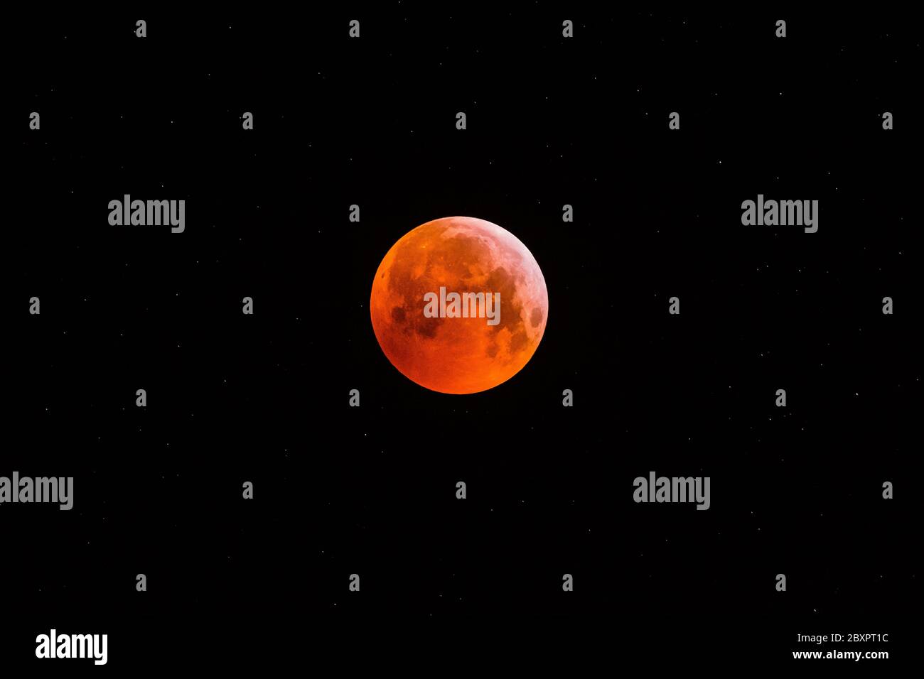 Super Blood Wolf Moon Eclipse Stock Photo
