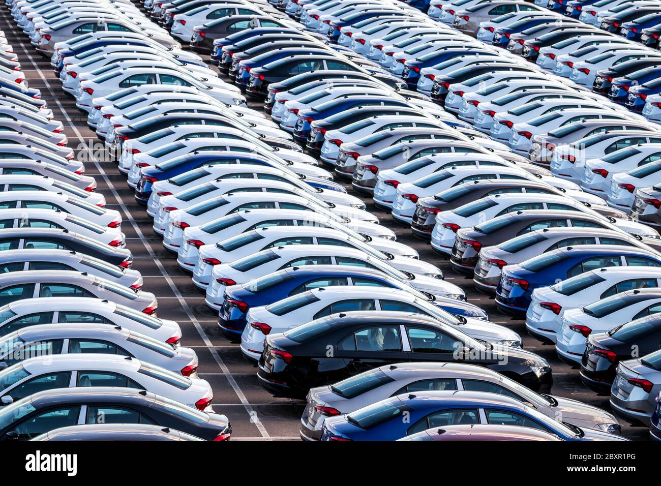 Rows of a new cars parked in a distribution center on a car factory on