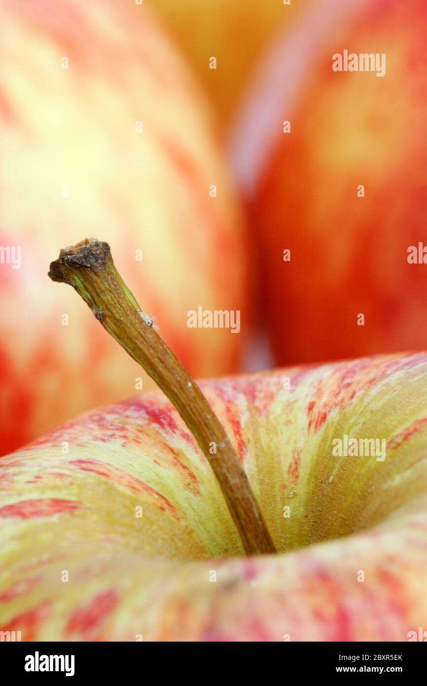 Red apples Stock Photo