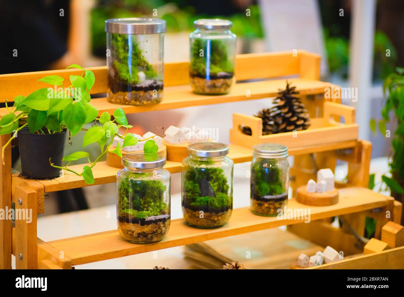 Terrarium Table Design Ideas  Terrarium table, House plants decor, Plant  decor indoor