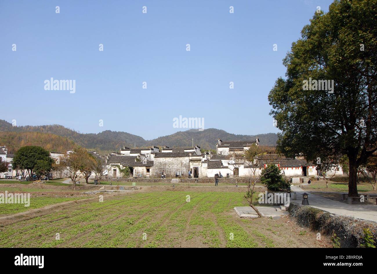Xidi Ancient Town in Anhui Province, China. Looking over fields on the edge of the town with the buildings of the old town behind Stock Photo