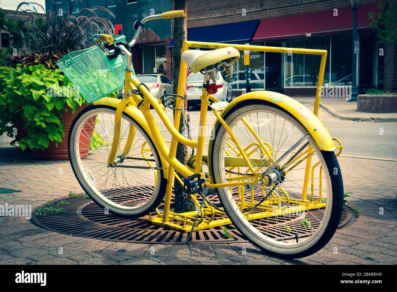 A parked retro style yellow girl's bicycle with teal green basket on front locked to a tree in  revitalized downtown in St. Cloud, MN, USA Stock Photo
