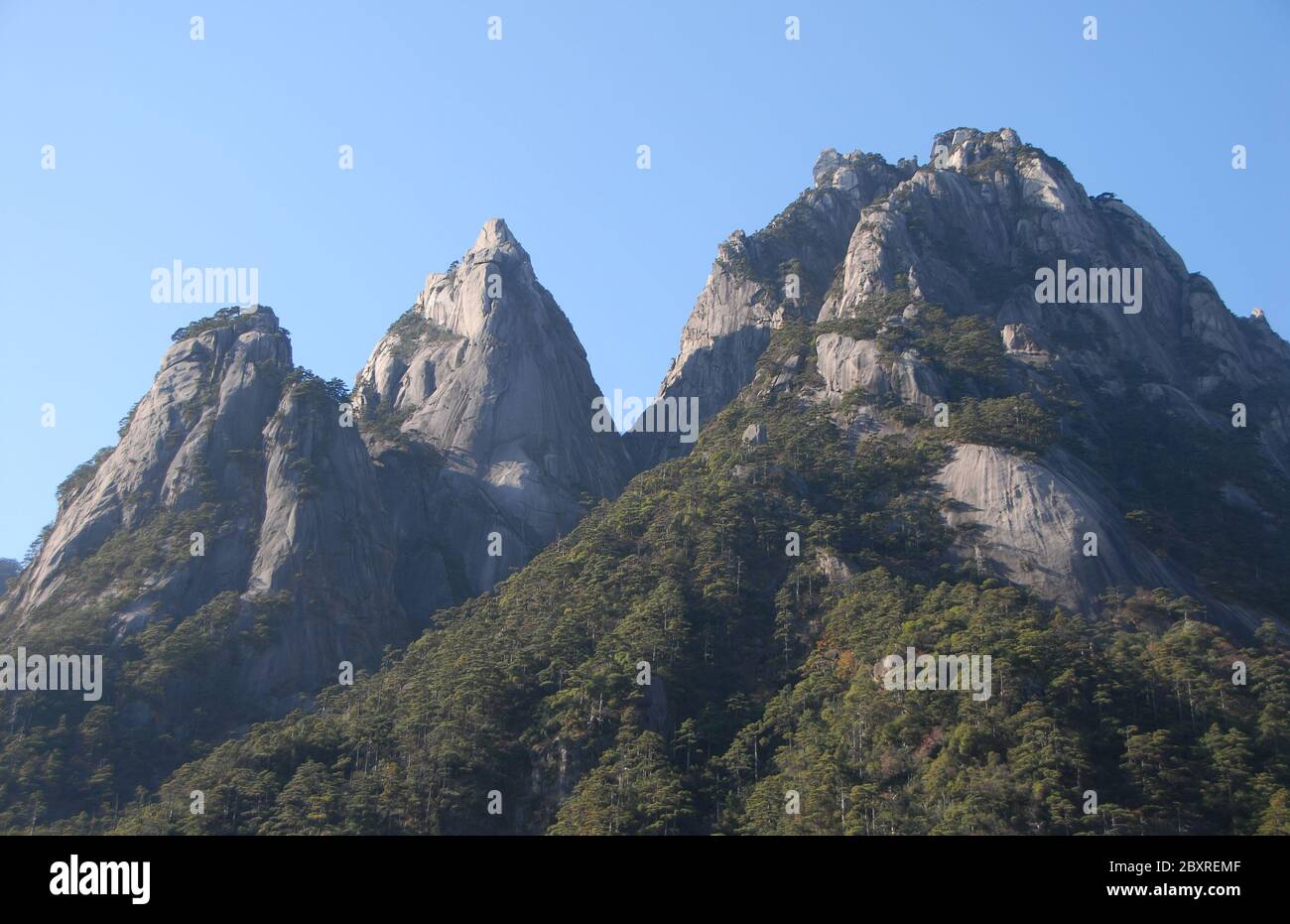 Huangshan Mountain in Anhui Province, China. View of peaks and trees as seen from the eastern steps. Huangshan is famous for its rocky peaks. Stock Photo