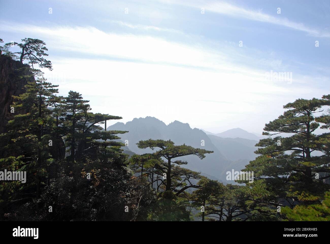 Huangshan Mountain in Anhui Province, China. Scenic panorama looking over pine trees in the West Sea or Xi Hai canyon on Huangshan Stock Photo