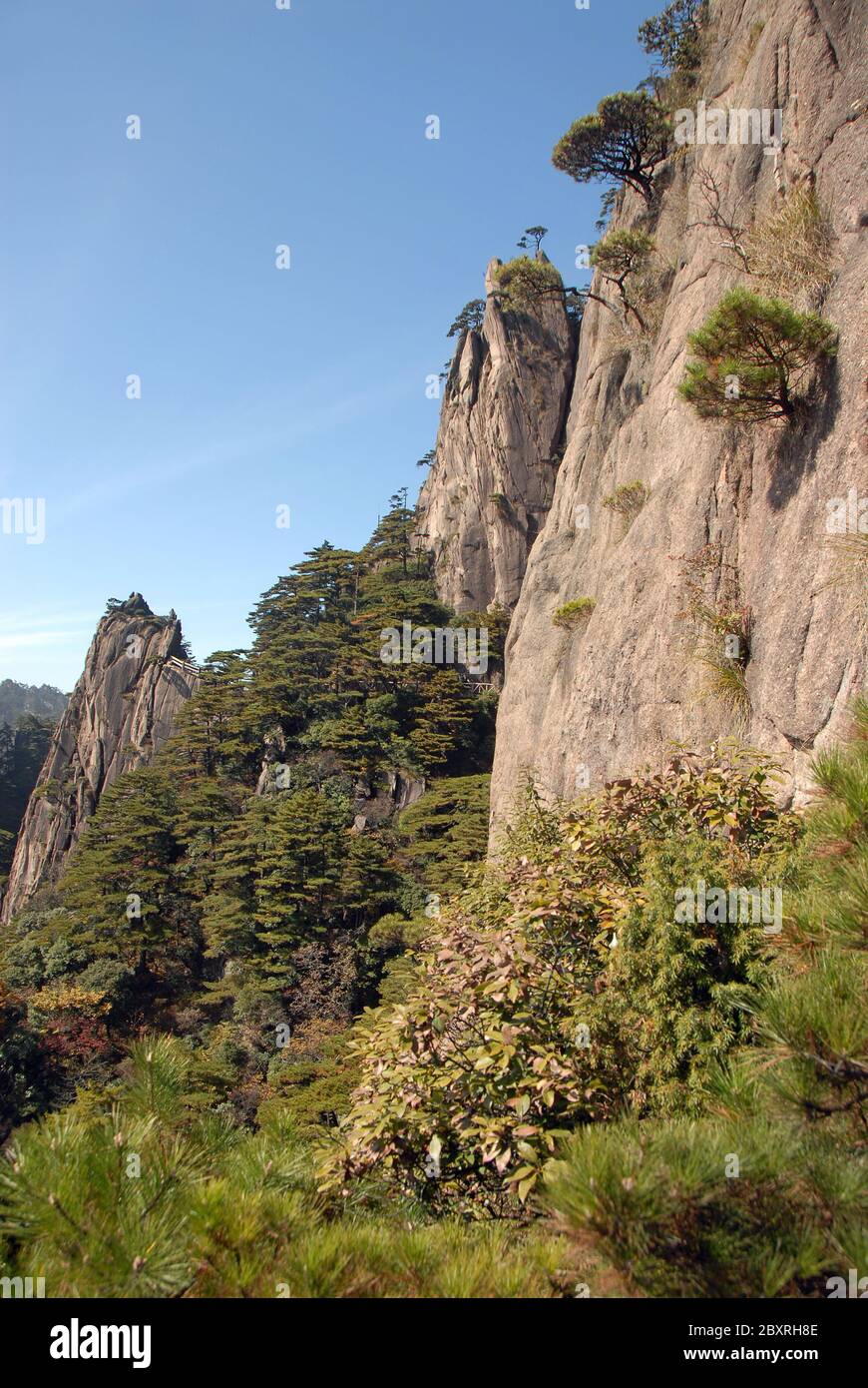 Huangshan Mountain in Anhui Province, China. Scenic view of mountain peaks, cliffs and trees in the West Sea or Xi Hai canyon on Huangshan Stock Photo