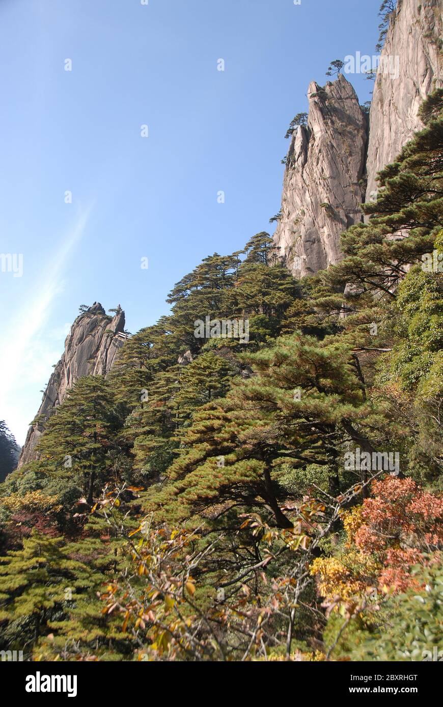 Huangshan Mountain in Anhui Province, China. Scenic view of mountain peaks, cliffs and trees in the West Sea or Xi Hai canyon on Huangshan Stock Photo