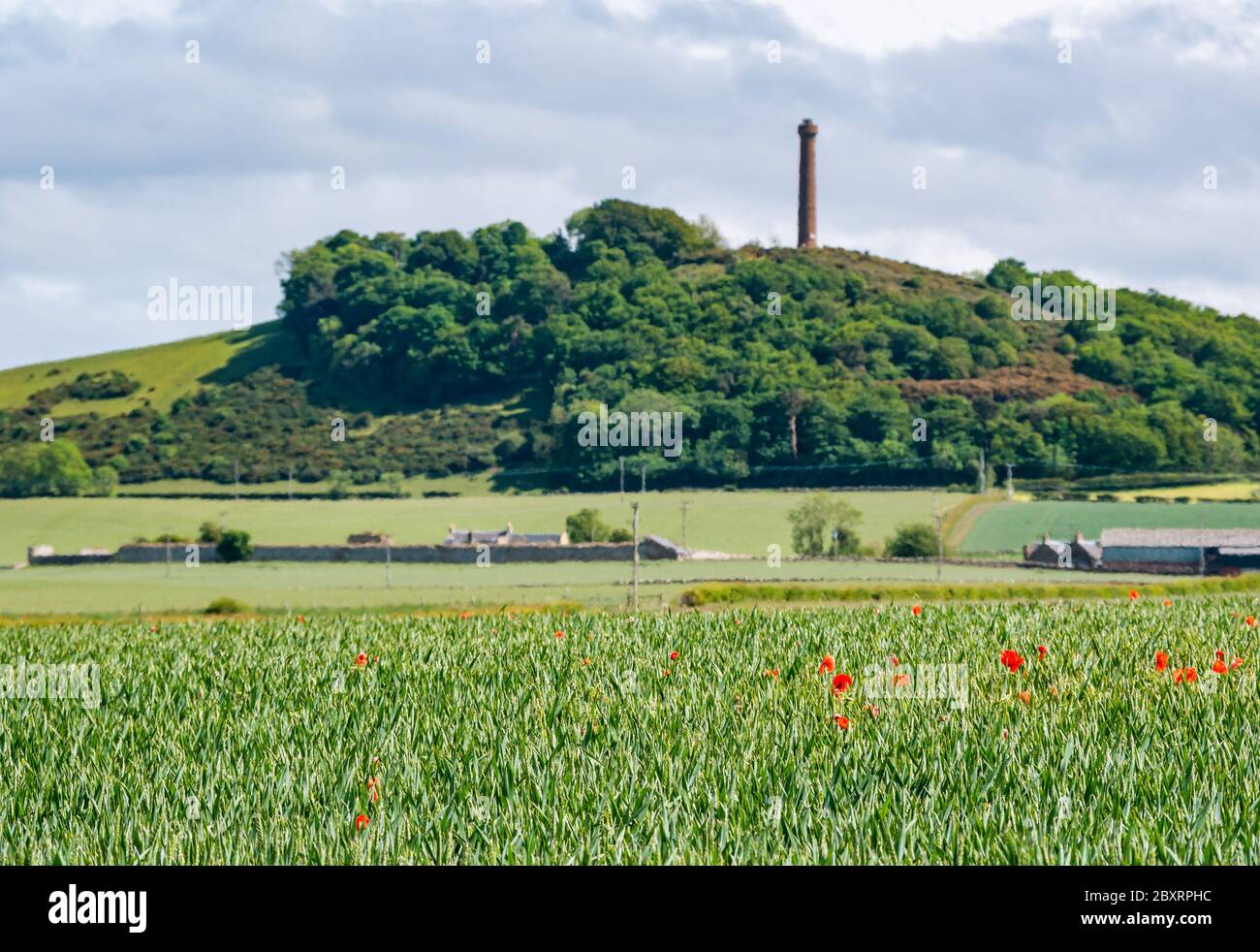 East Lothian, Scotland, United Kingdom, 8th June 2020. UK Weather the