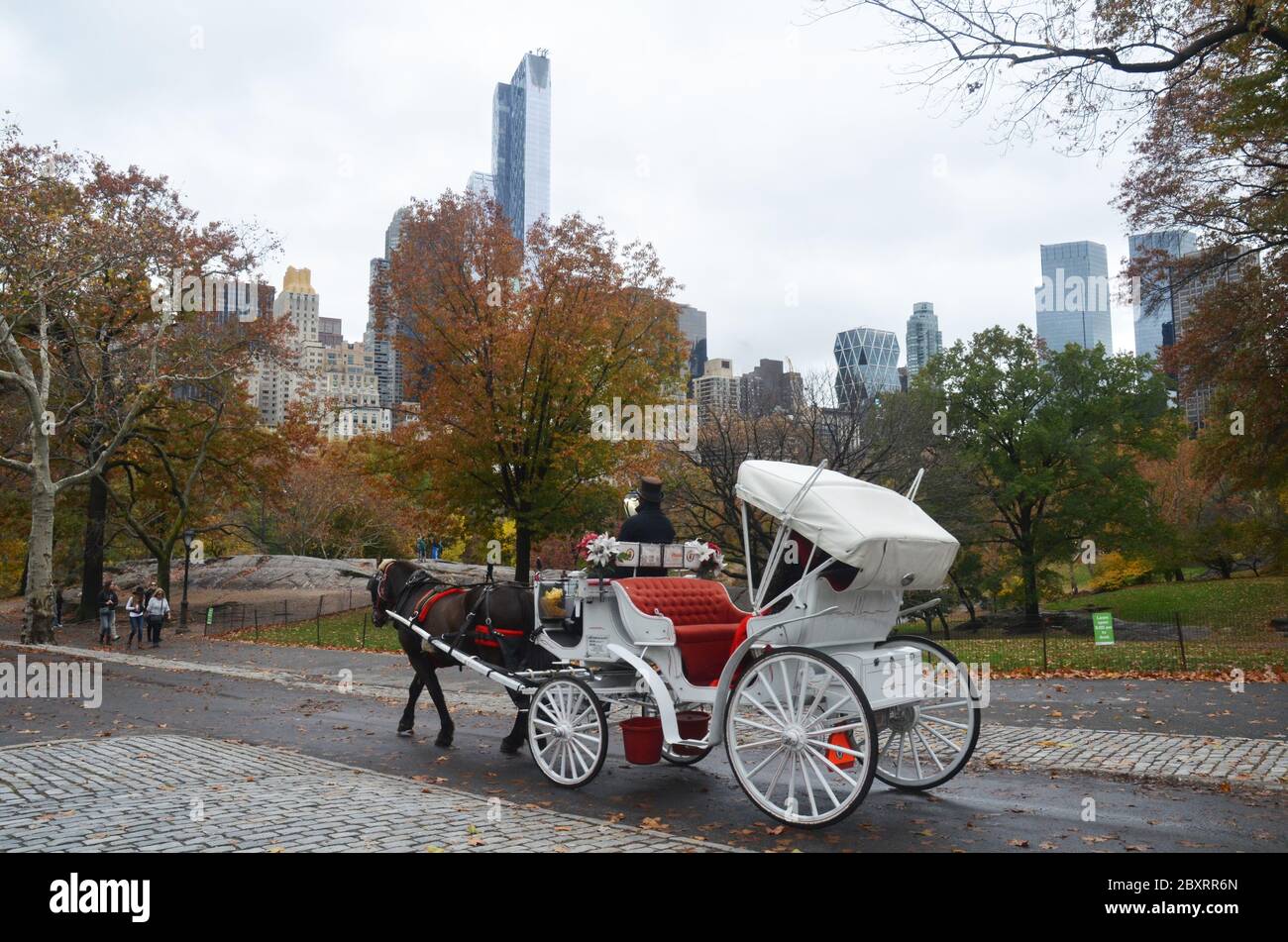 New york carriage hi-res stock photography and images - Alamy