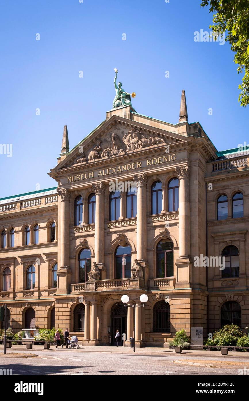 the Natural History Museum Alexander Koenig on Adenauer Allee, North Rhine-Westphalia, Bonn, Germany.  das Naturkundemuseum Alexander Koenig an der Ad Stock Photo