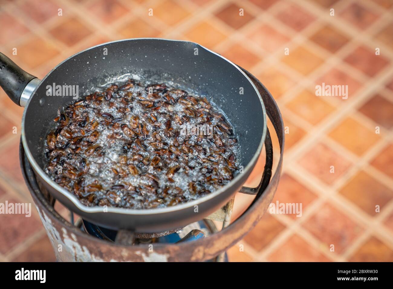 Southeast Asia, Thailand fried crickets are cooked by oil in the pan