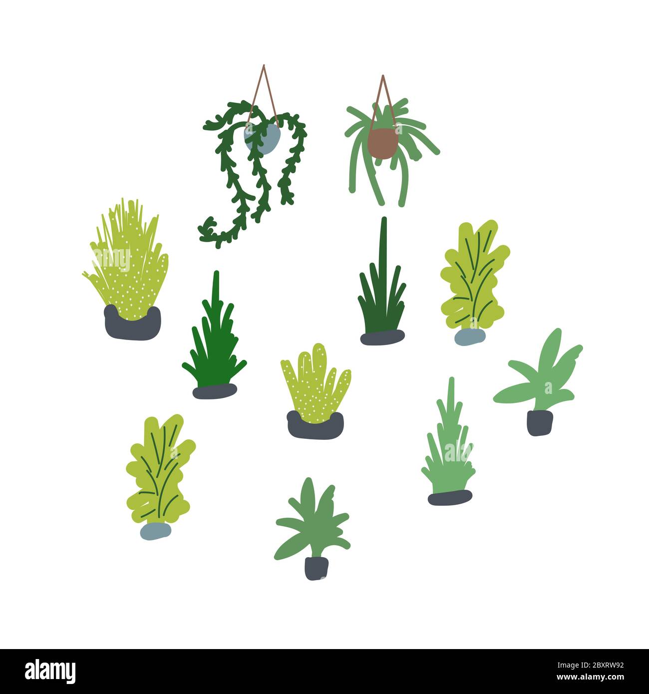 Houseplants vector illustration set. Succulents and greenery handdrawn plants. Stock Vector