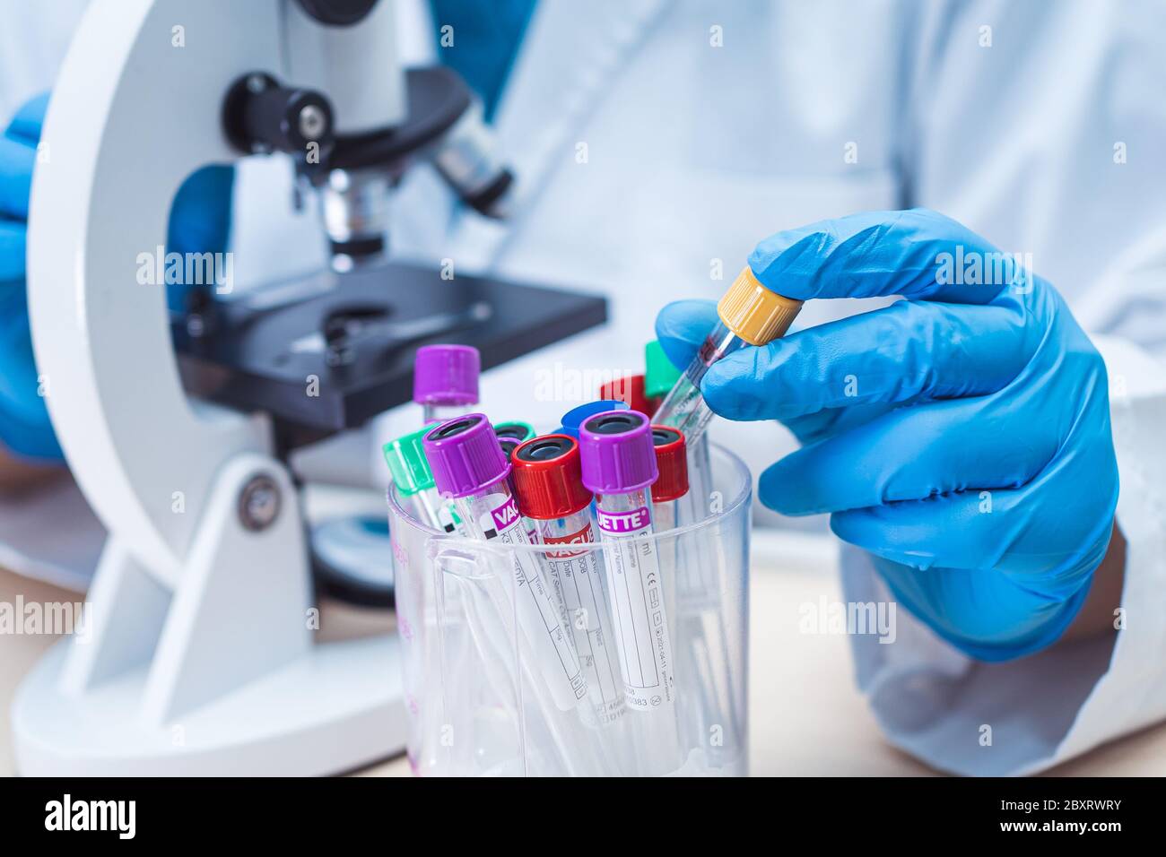 Lab Specimen Using Microscope Scientist holding and analysis tube of micro biological sample with a ...