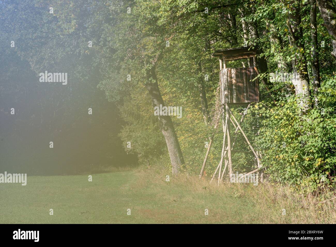 Observation pulpit hires stock photography and images Alamy