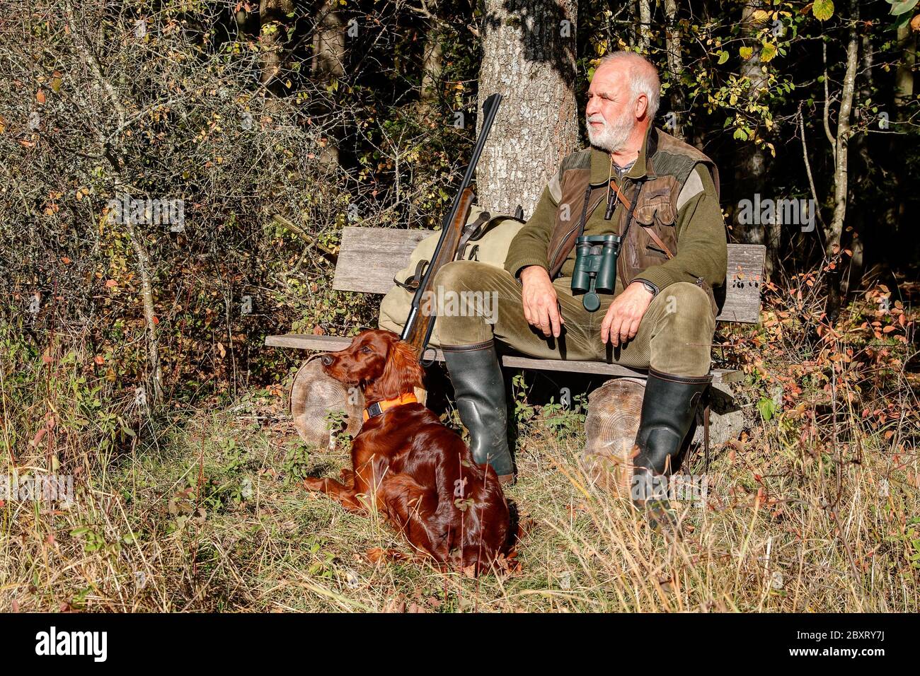 Old Man Hunting With His Dog High Resolution Stock Photography and ...