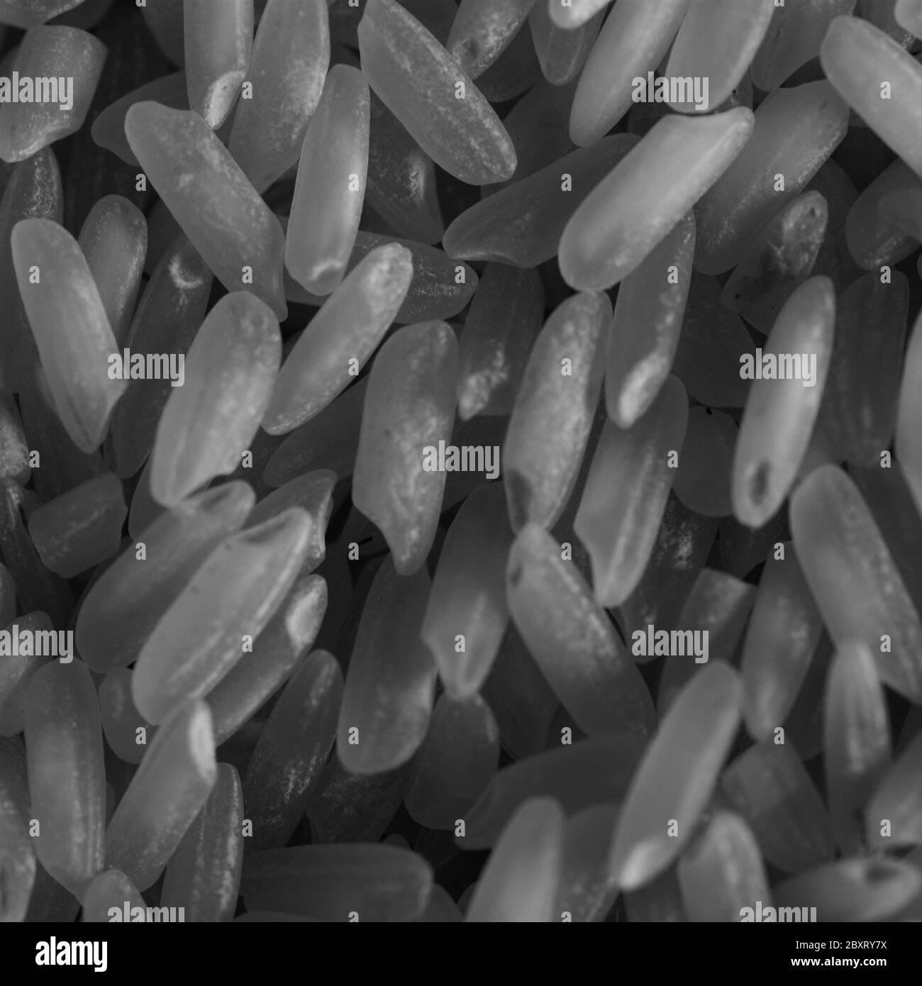macro shot of grains of rice Stock Photo Alamy