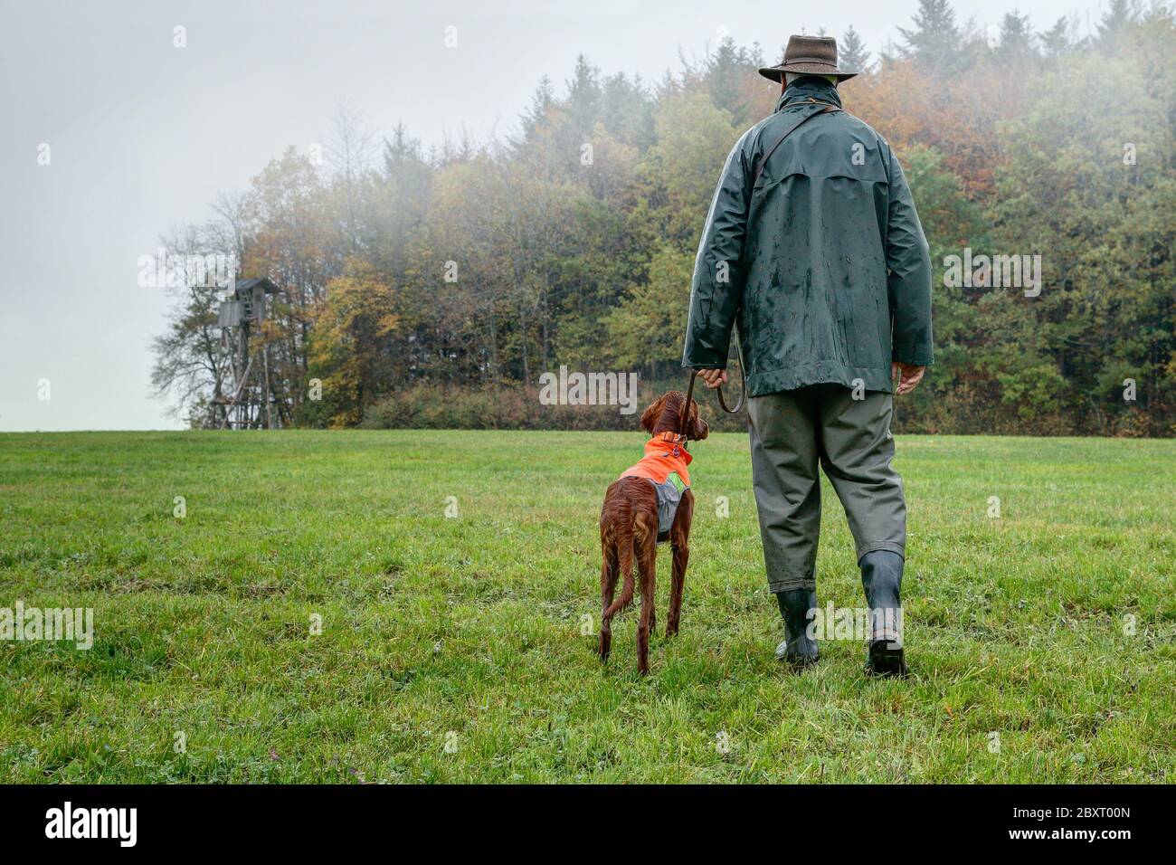 On a foggy, rainy autumn day a hunter with his dog make a stalking through the hunting area to the big Hunting Pulpit. Stock Photo