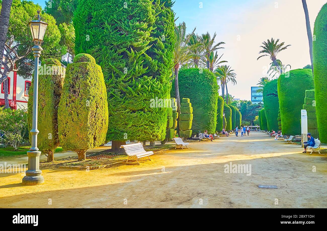 CADIZ, SPAIN - SEPTEMBER 23, 2019: Genoves park boasts scenic landscaping with different shaped topiary thuja trees, blooming bushes, palms, on Septem Stock Photo