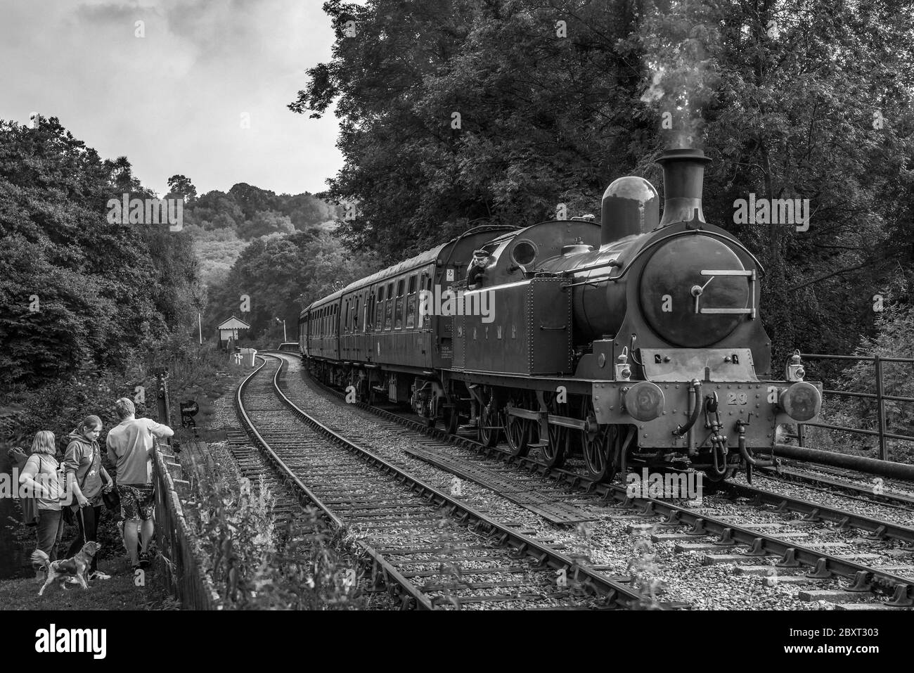 NYMR North Yorkshire Moors Railway Lambton tank engine Mnumber 29 pictured at Consall on the Churnett Valley Railway in Staffordshire, North West Engl Stock Photo