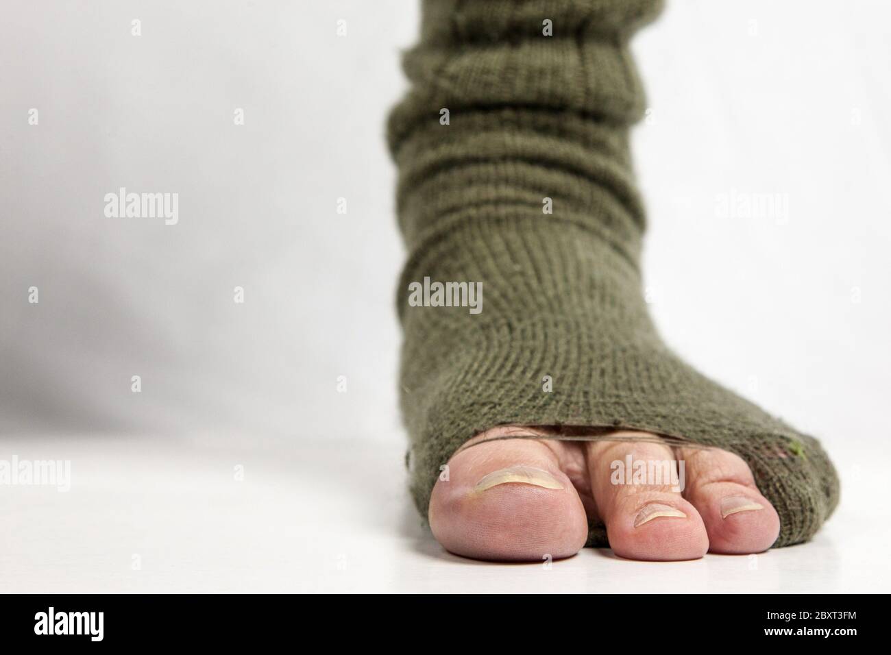 Meias Sólido  Toe socks, Socks, Socks photoshoot