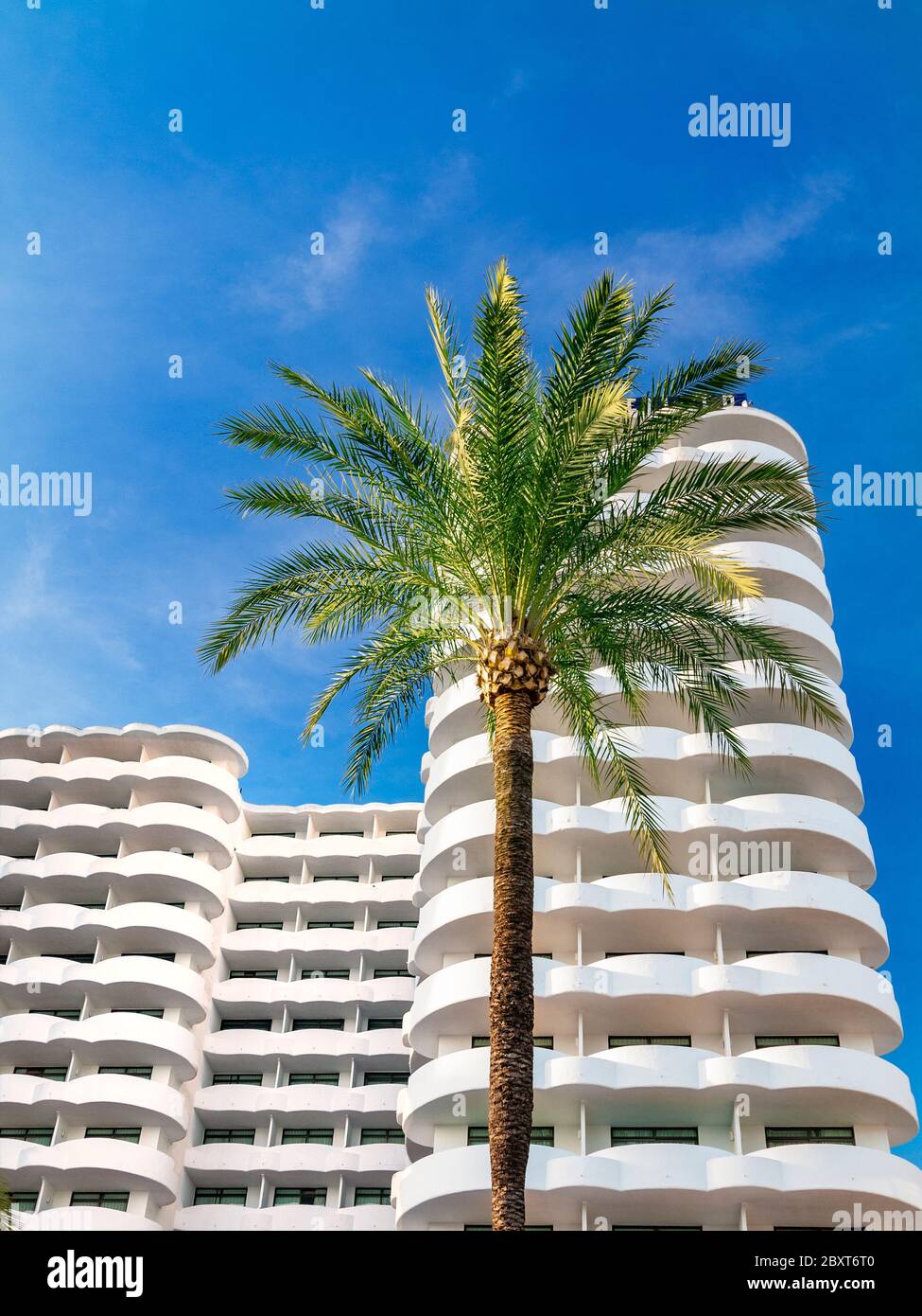 VACATION RENTAL APARTMENTS HOTEL HOLIDAY PALM TREE  Generic attractive sunny white 5 star luxury exotic holiday resort hotel /apartments with palm tree and clear blue sky Stock Photo