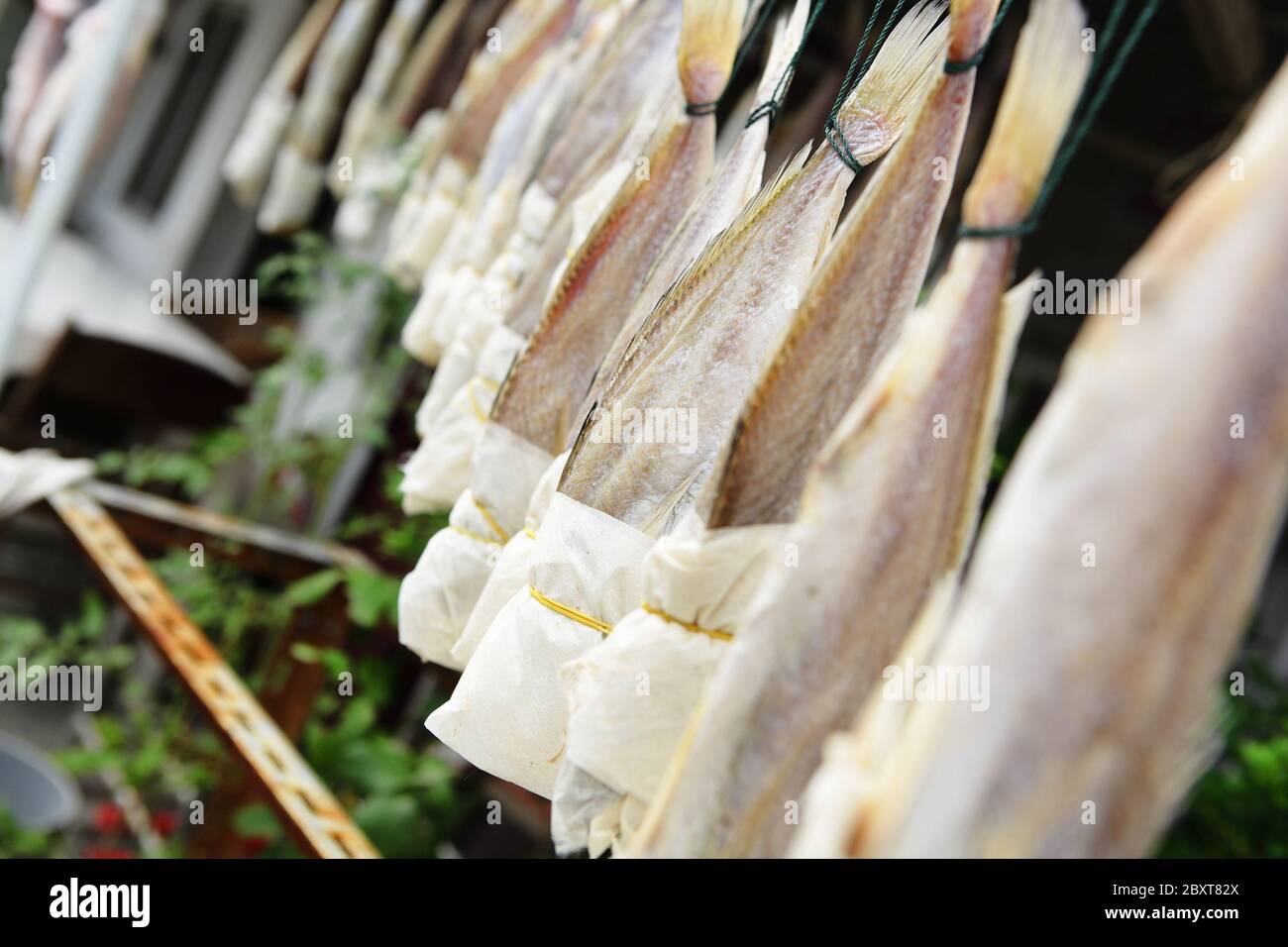 dried salt fish Stock Photo