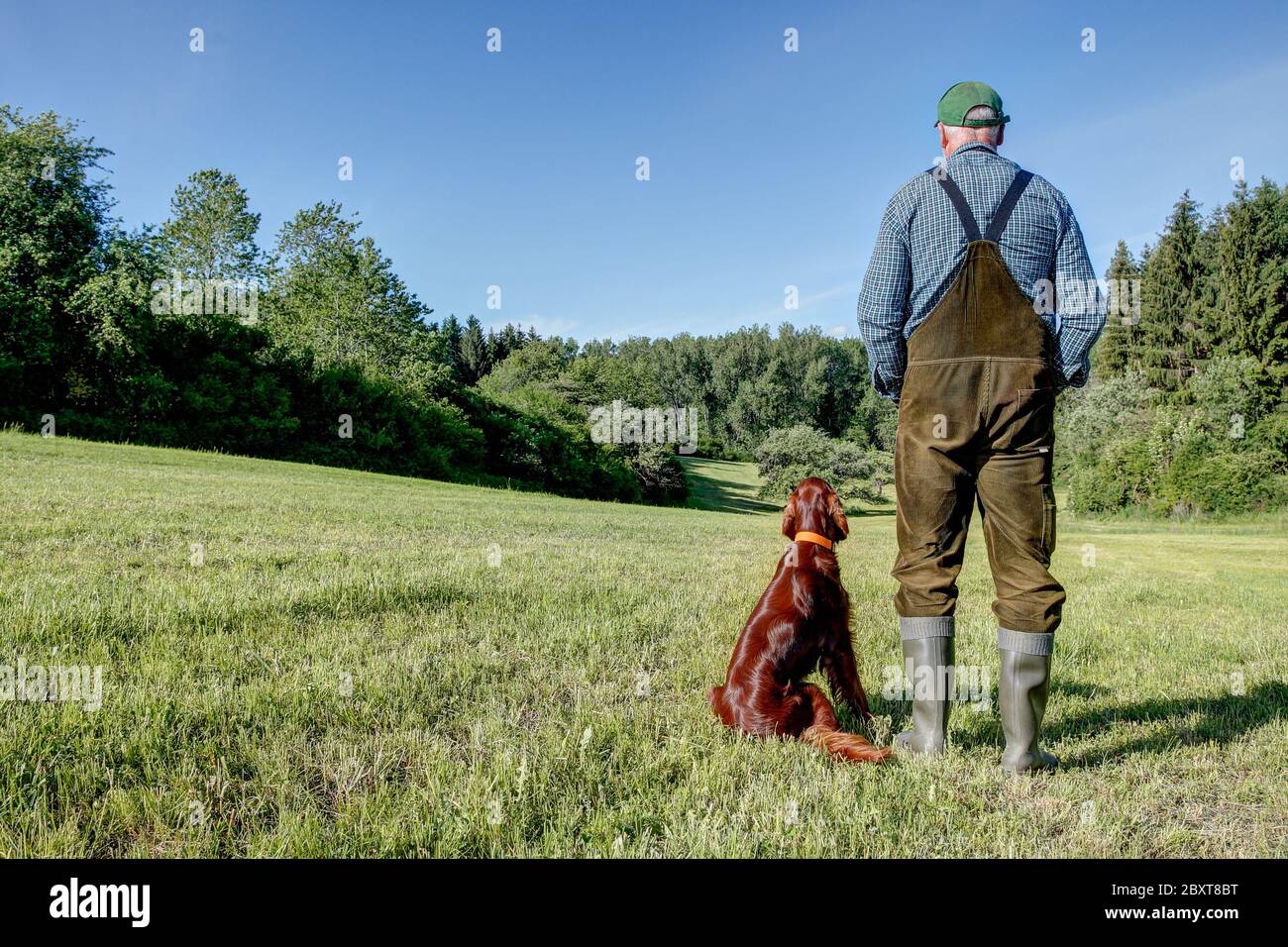 On a sunny day in May, a Farmer stands with his Irish Setter hunting dog on the mowed meadow and both look down into the little valley. Stock Photo