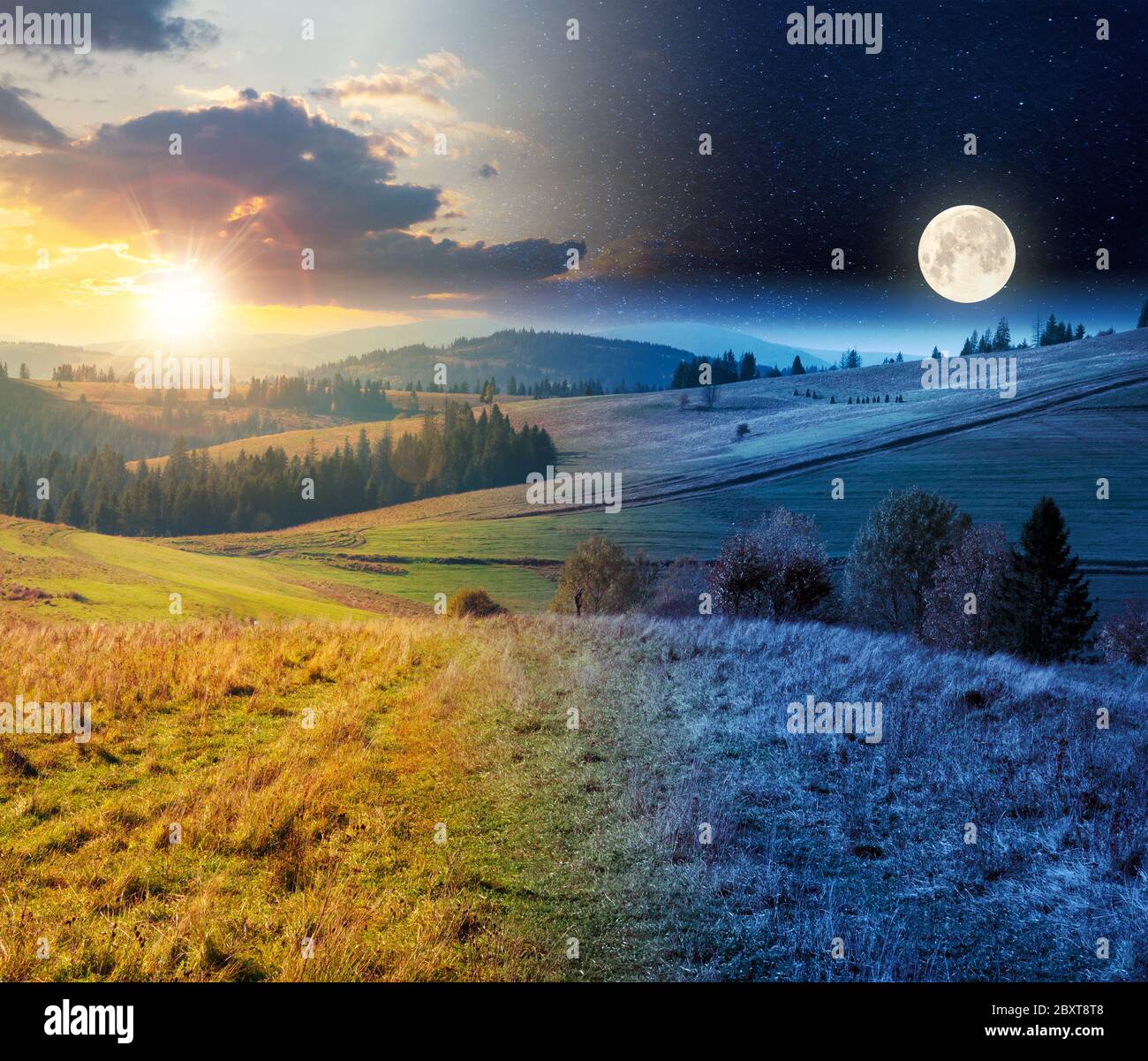 Night Fall Spring Time day and night time change concept above forest in red foliage. trees ...