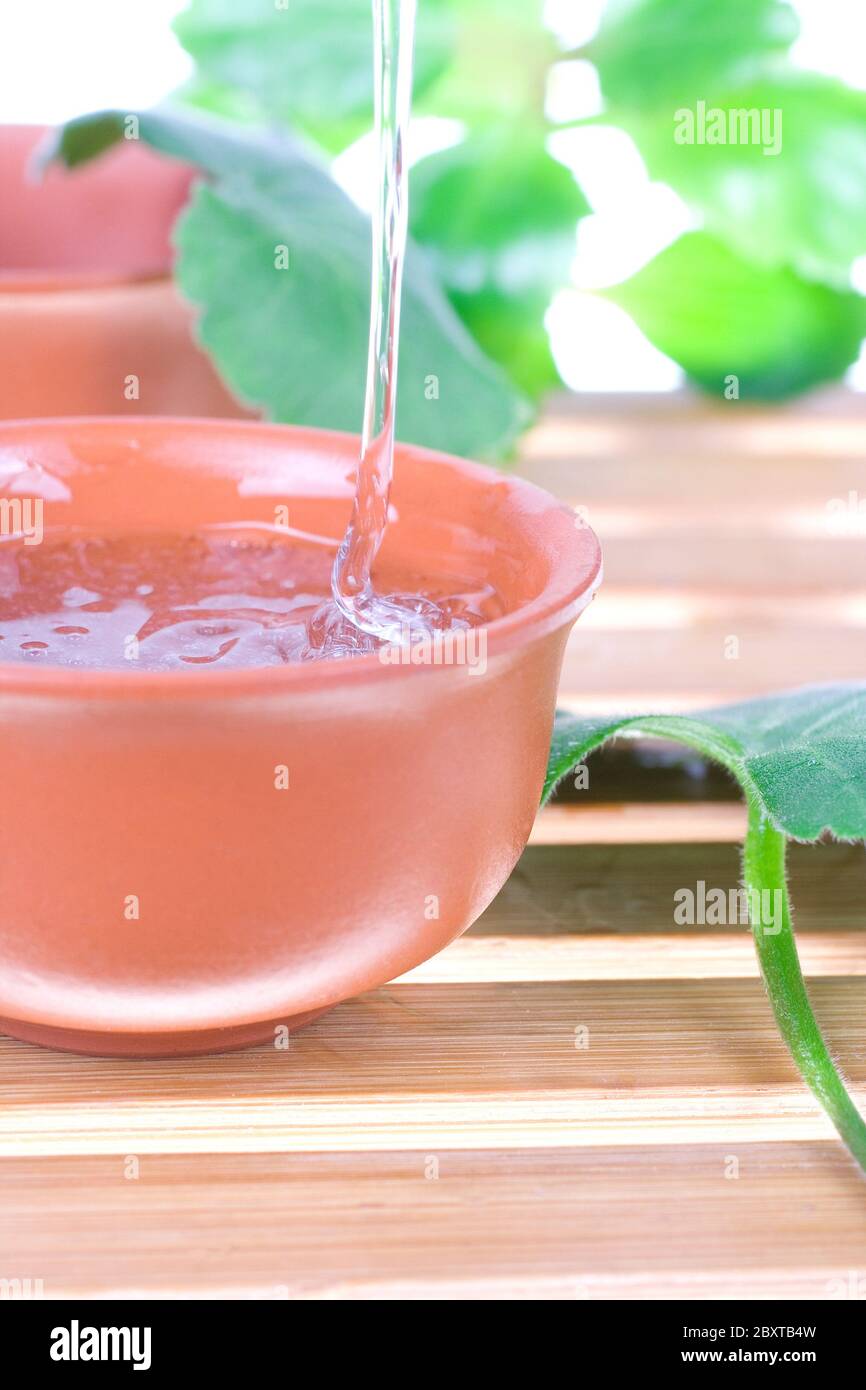 tea tree oil Stock Photo Alamy