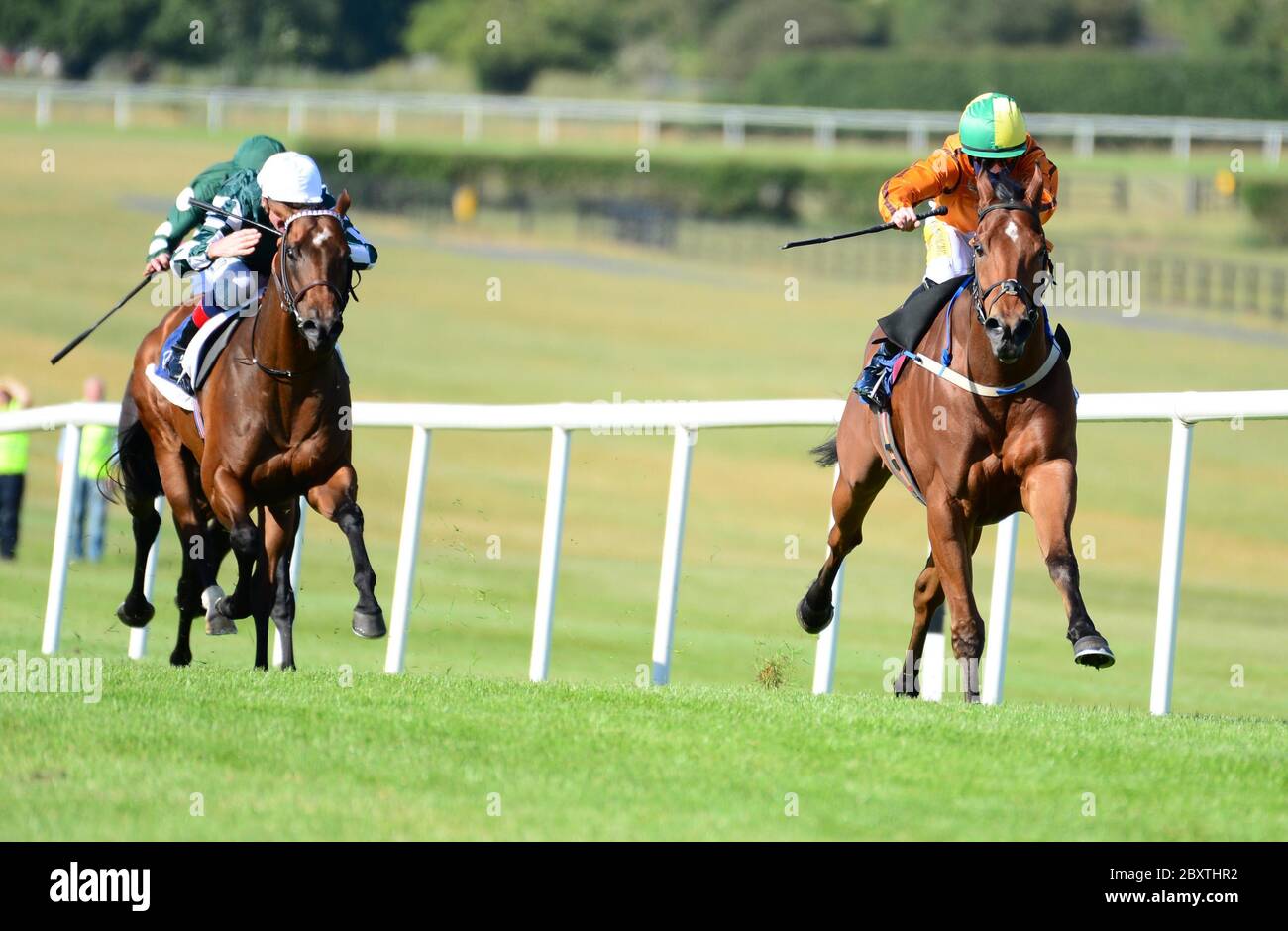 Sceptical ridden by Joey Sheridan wins the Anglesey Lodge Equine Hospital Woodlands Stakes at Naas Racecourse, Co. Kildare, Ireland. Stock Photo