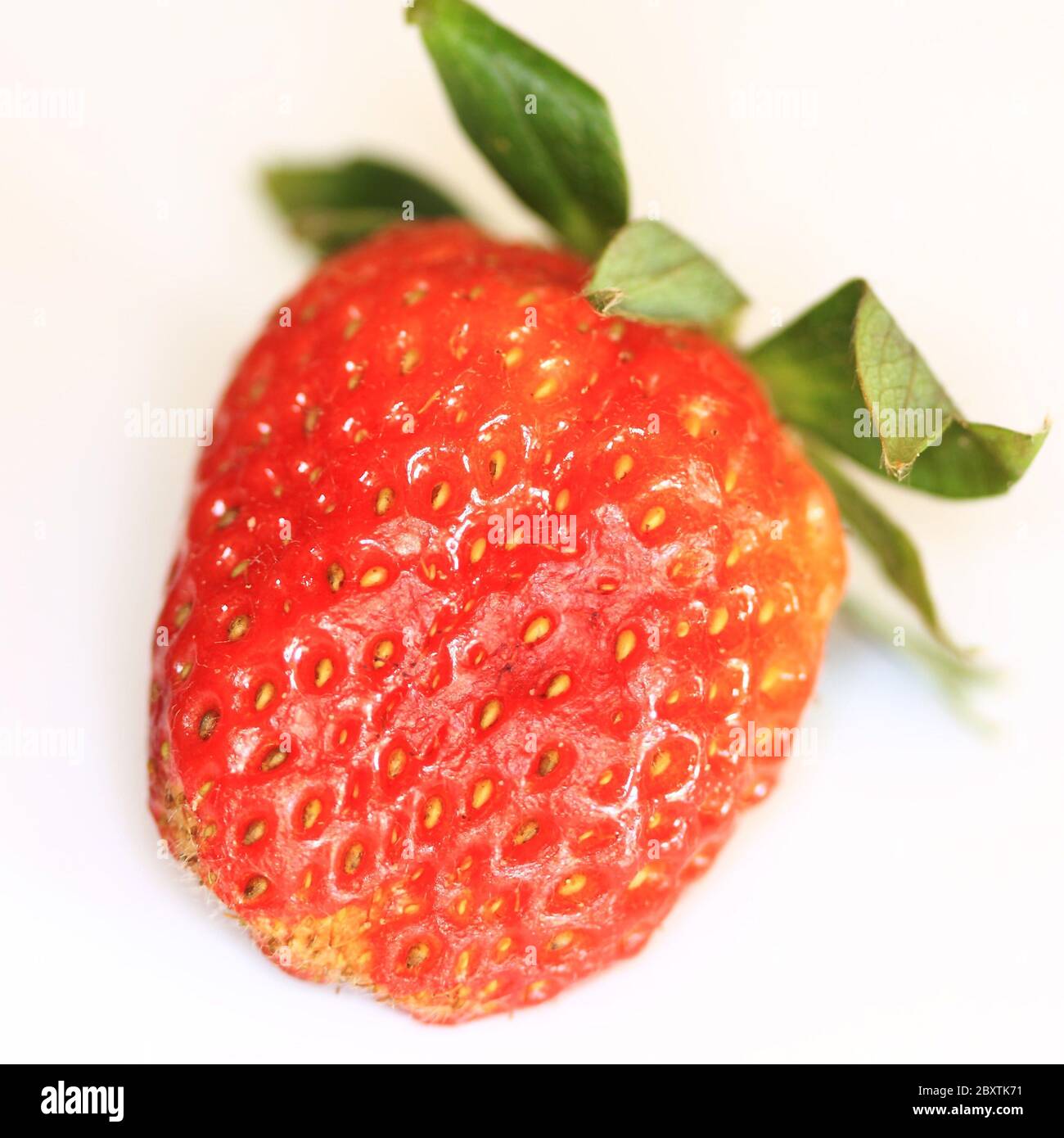 Hairy strawberry hi-res stock photography and images - Alamy