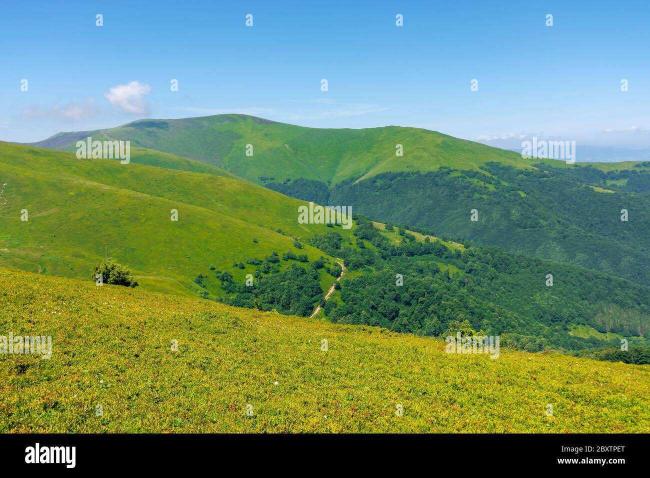 scenery of carpathian mountains. great views on a summer day. borzhava ridge is a popular travel destination of ukraine Stock Photo