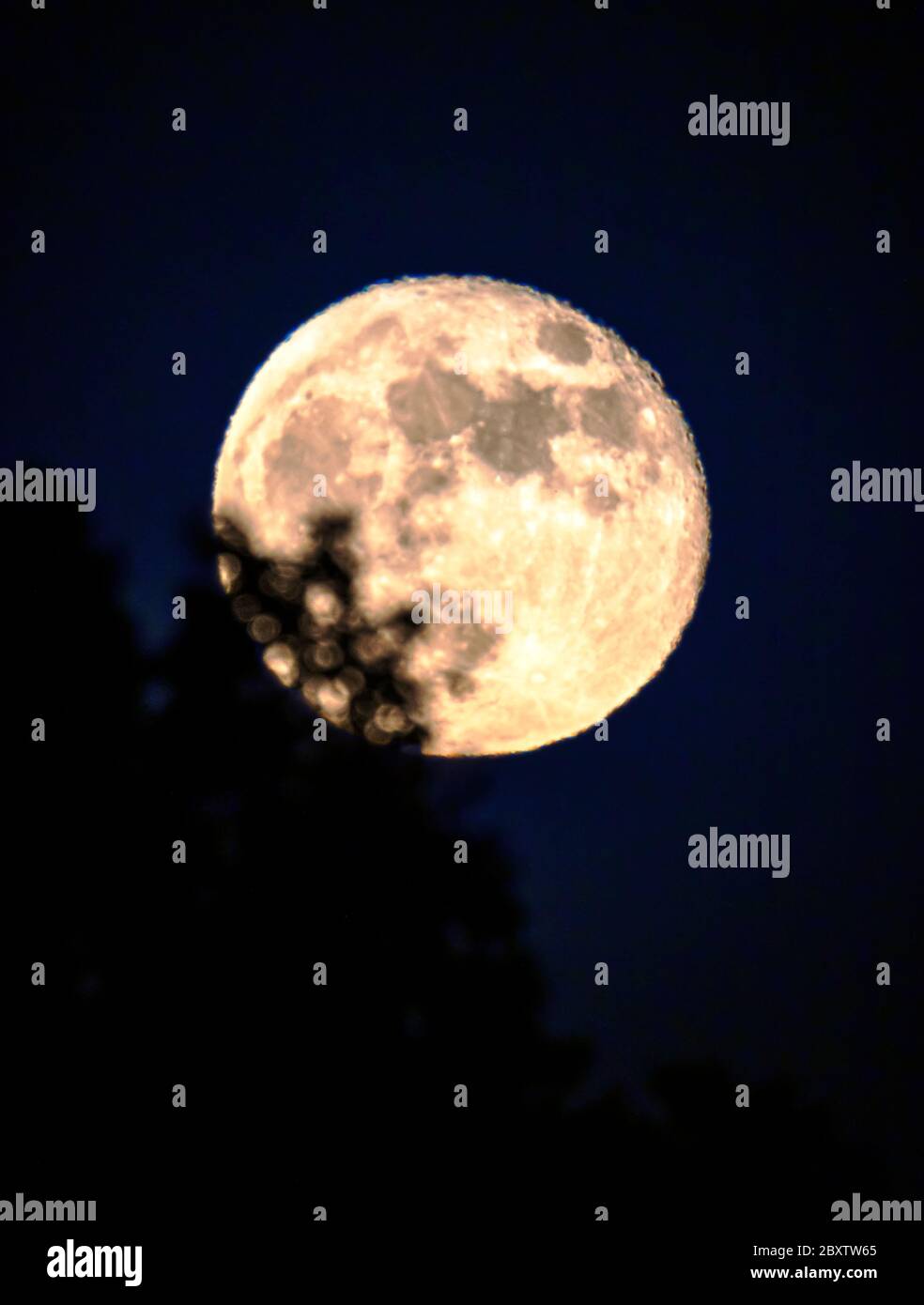 Full Strawberry Moon rising over Rocky Mountains, Salida, Colorado, USA
