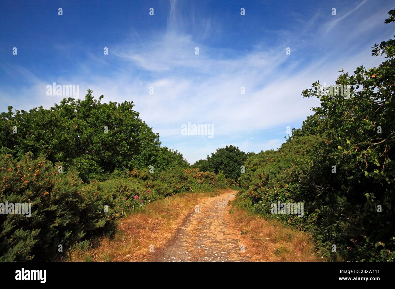 A track over the elevated site of Wiveton Downs SSSI glacial feature ...