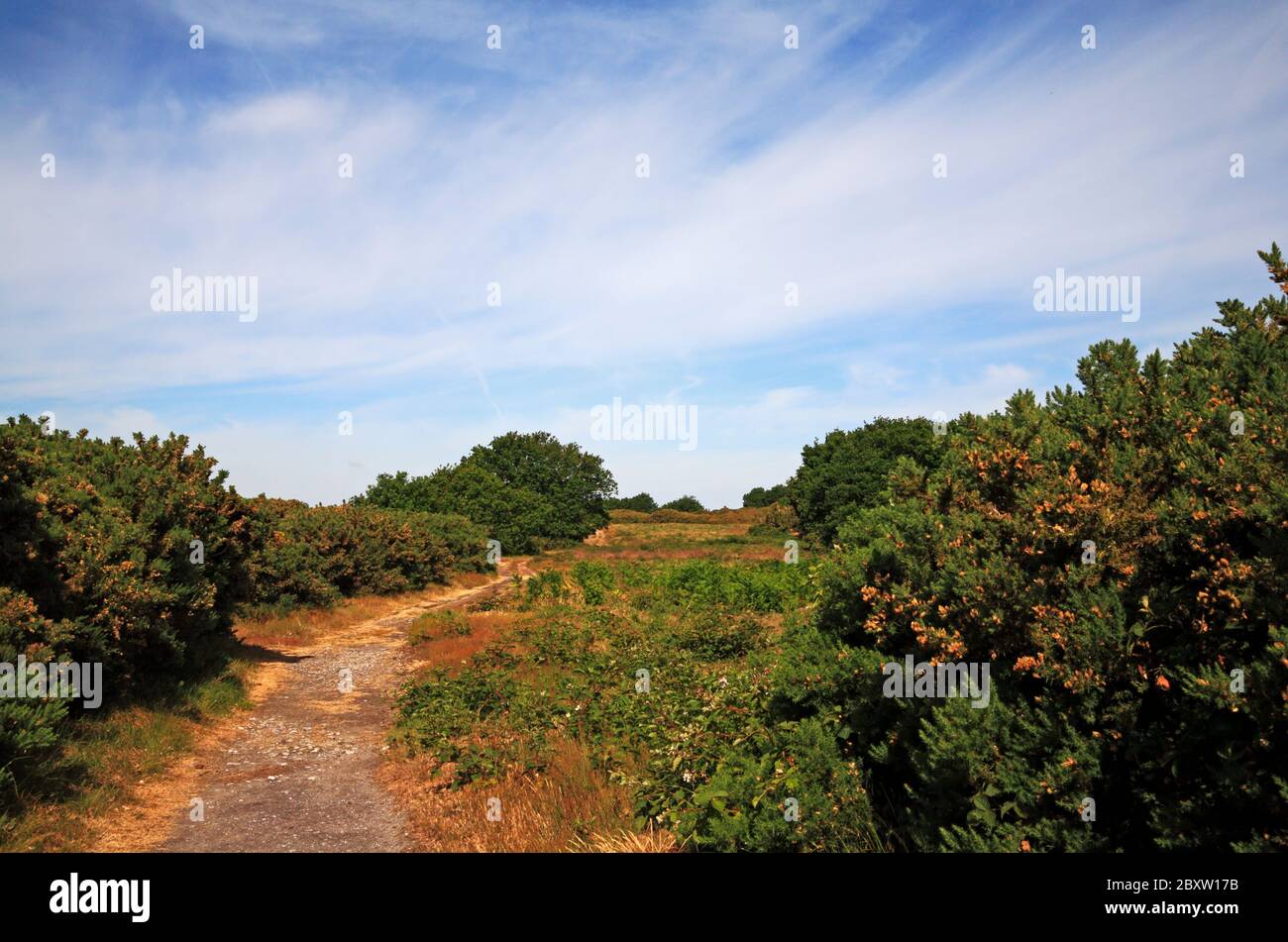 Elevated site hi-res stock photography and images - Alamy