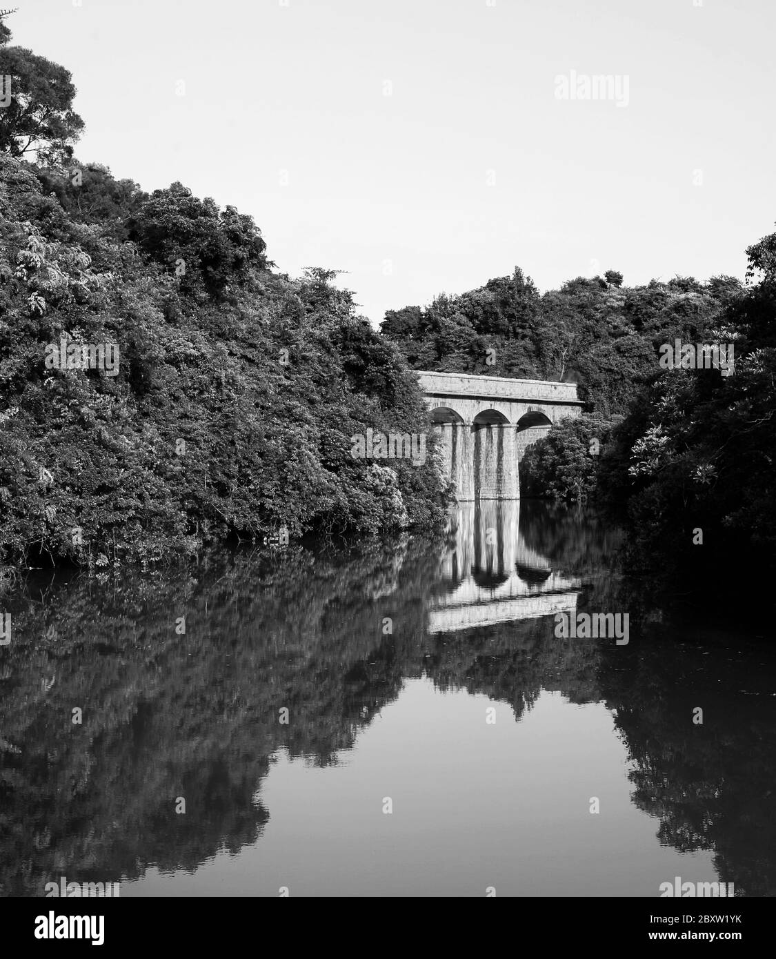 Beautiful forest lake sunny Black and White Stock Photos & Images - Alamy