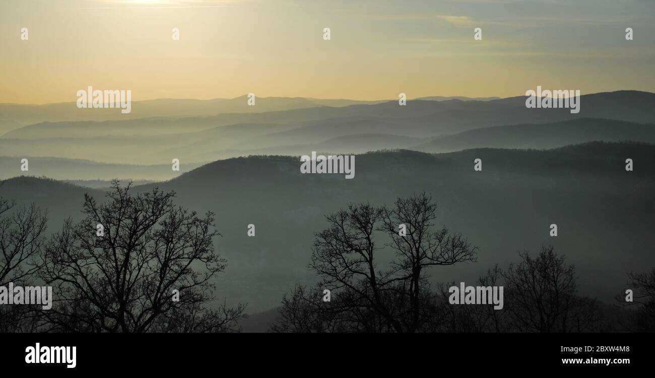 Fog or mist hi-res stock photography and images - Alamy