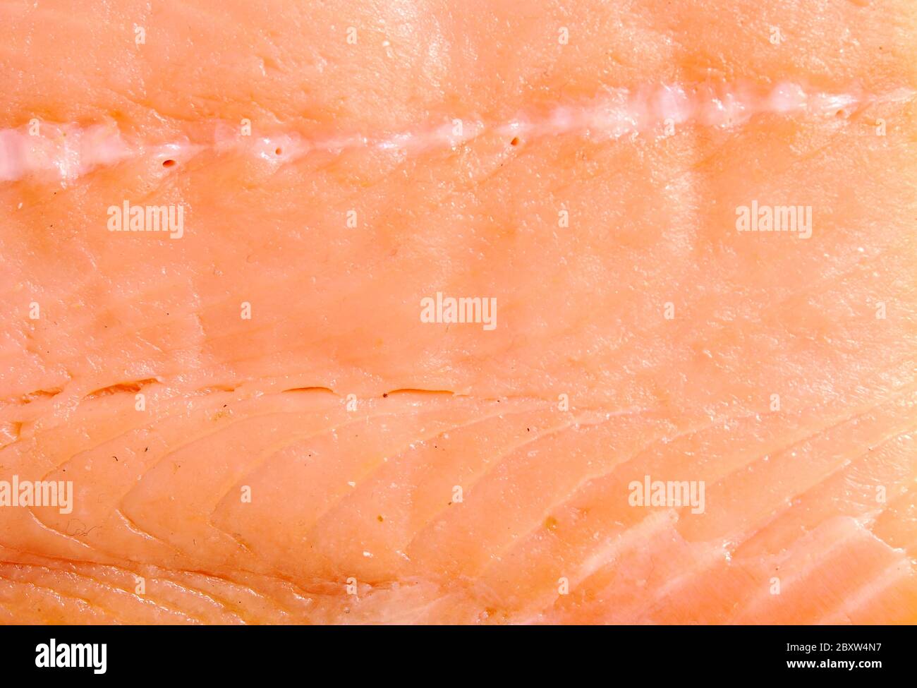fish background Stock Photo