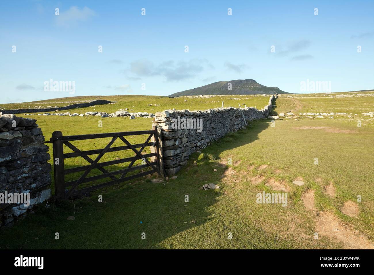 Pen-Y-Ghent from the Yorkshire Three Peaks path, in the Dales, UK Stock Photo