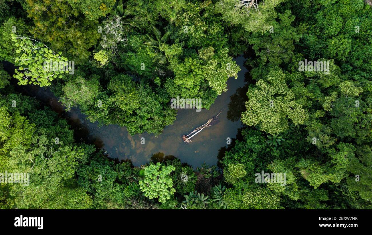 Aerial photo of Amazon rain forest jungle with the river view in Peru Stock Photo